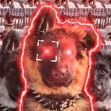 🖇❤OlDog❤️🖇