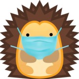 Вожыкi пра хакей 🦔