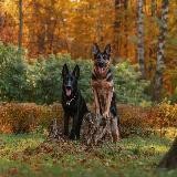 Мудрая юность