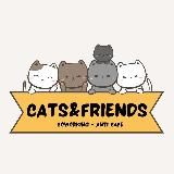 Cats And Friends