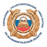 Госавтоинспекция 39