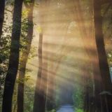 Чат Эволюция души ✨