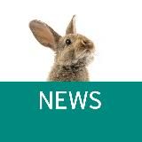 Pro.Expert NEWs - Vaillant, Protherm, VGR