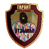 Темы[Официальный Гарант]