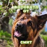 Фотобатлы и конкурсы от Смит