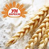 🆄🅽 🅼🅰🆁🅺🅰🆉🅸 🆀🆄🆅🅰🆂🅾🆈