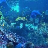 what to do confession