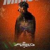Pumekoo oficial 🎙