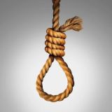 Коллаборант (резерв)