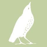 Органическая косметика SATIVA