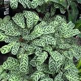 Школа Красоты👠