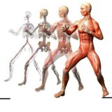 ❗ЛФК ФИТНЕС ДИЕТОЛОГИЯ РЕАБИЛИТАЦИЯ МАНУАЛЬНАЯ ТЕРАПИЯ БИОХИМИЯ