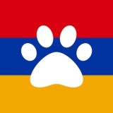 🇦🇲 Армения: Переезд с питомцем 🐕 🐈 🐁