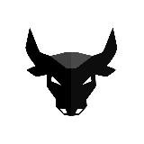 BULL IN CRYPTO