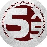 ВЛДФ | Воронежская любительская футзальная Лига