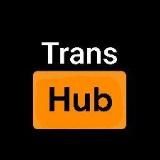 Trans hub 🦄