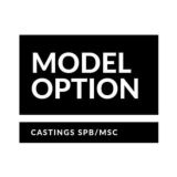 Model Option Chat