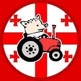 Новости в Грузии | ЖВГ | Тбилиси