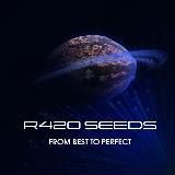 R420 SEEDS (вітрина)
