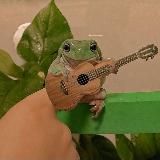 вайбовые треки 🍃 | vibe music | TikTok