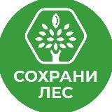 Сохрани лес | Лига Заботы