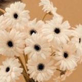 Психология и Саморазвитие❤️