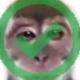 Саня в кепці