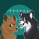 Три безумца🫣🫶