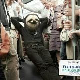 Отдых или смерть