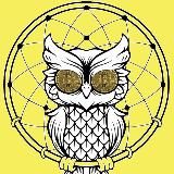 Crypto Sova🦉