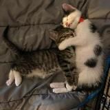 17 November 2017🍃