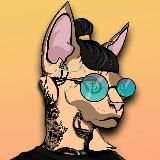 Покоритель WEB3 + AI