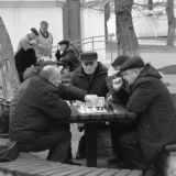 Чат безвольных каменщиков