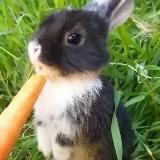 Мастерская настроения