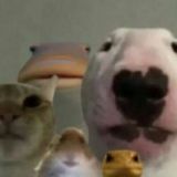 с.Разбантусово🚭