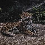 𝖔.𝖑.𝖉.𝖒.𝖚.𝖘.𝖎.𝖈