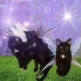 молочный коктейль