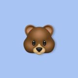 Расписание 2023-2024 | BearCourses