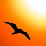 Вперед и Вверх