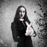 Нуарушки 🐇