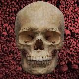 Глазами Врача