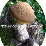 Чат Чернигов Бюро находок