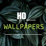 📸 HD ₩a11papeers 📸