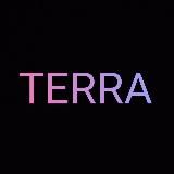Кроссовки "TERRA"