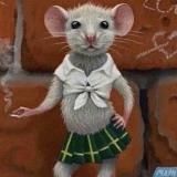 bimbo_animal_pro_update