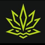 alfaseeds семена конопли