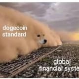 Doge | Илон Маск | собачьи щитки с панкейка | SHIB | проёб депо | официальное коммьюнити