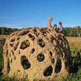 Натуральная школа