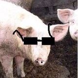 Леонид Баталин