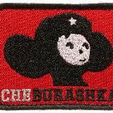 Шевцов Антон Валерьевич